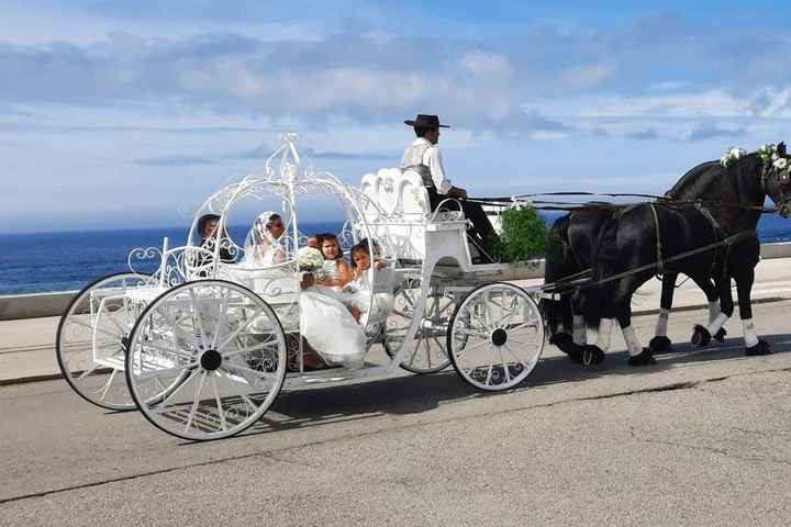 Já decidiste como vais para o teu casamento? - 13