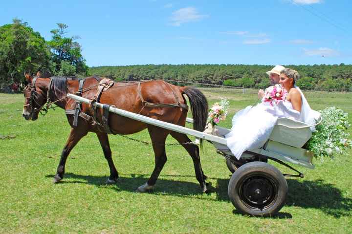 Já decidiste como vais para o teu casamento? - 14