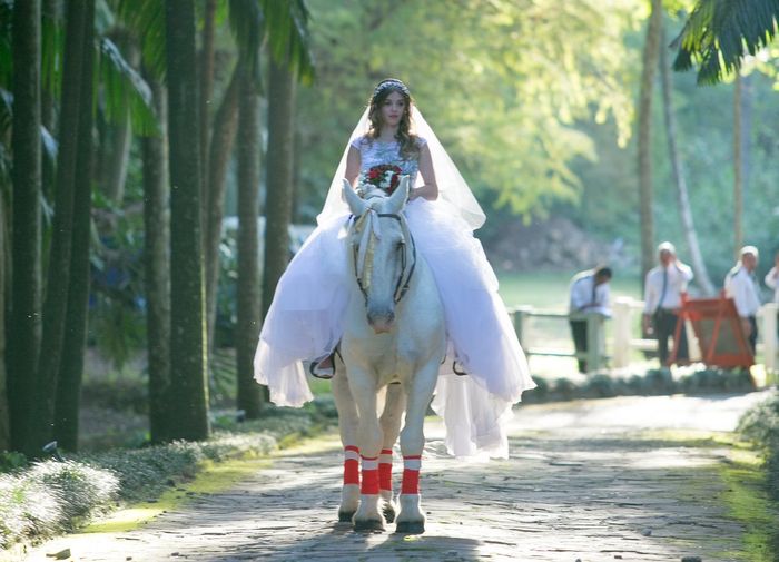 Já decidiste como vais para o teu casamento? 15