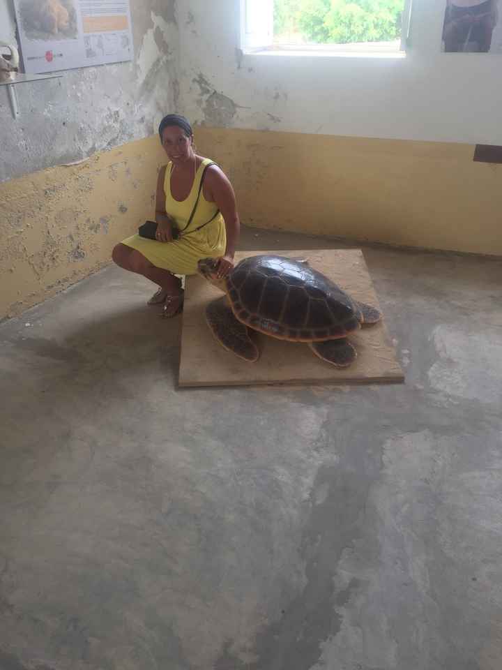  a minha lua de mel 💑 - 11