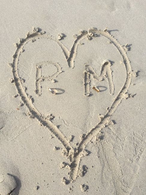  a minha lua de mel 💑 - 17