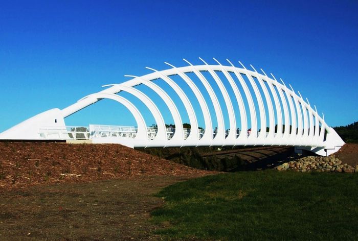 Nova Zelândia