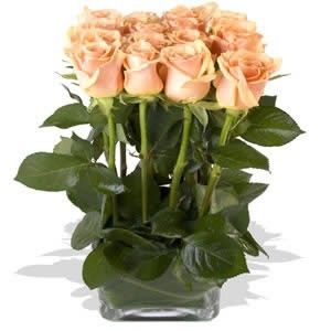 Rosas cor de chá