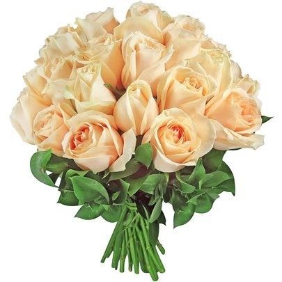 Rosas cor de chá