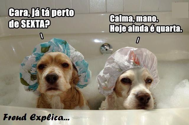 Ficar fantastico