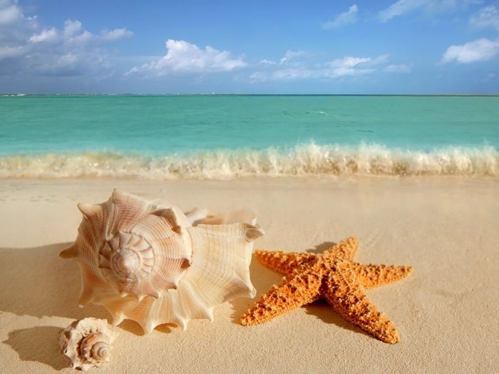 O mar