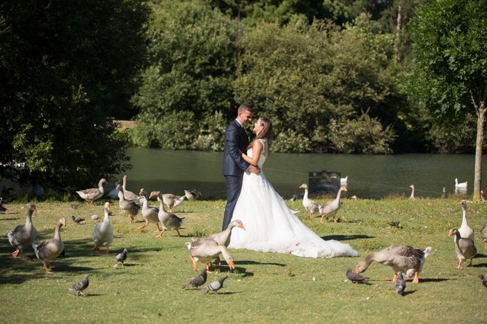 Trash the dress