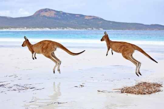 Austrália