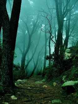 Sintra