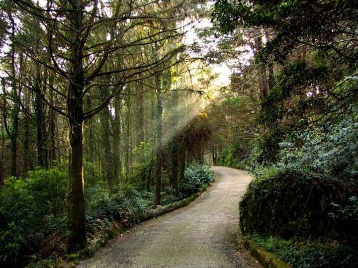 Sintra