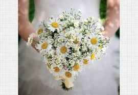 Bouquet margaridas