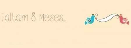 8 meses