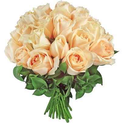 Rosas cor de chá