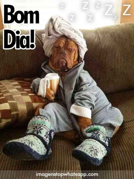 Bom dia (31/08)