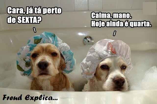 Ficar fantastico