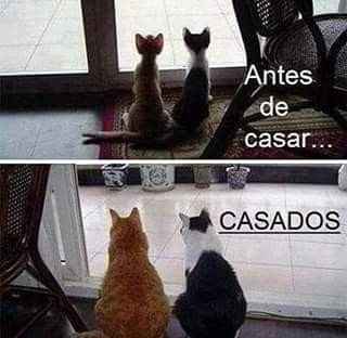 Casar engorda