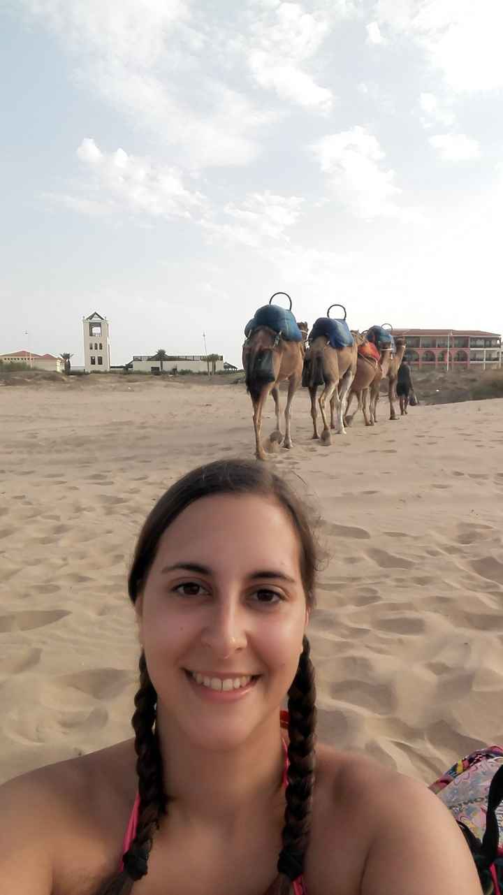 Camelos