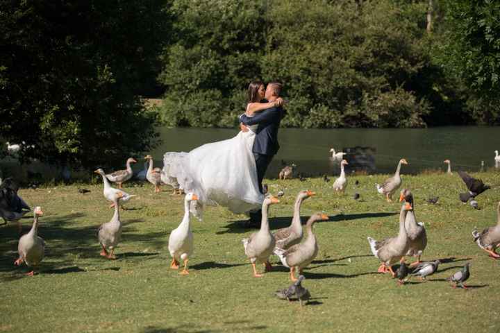 Trash the dress