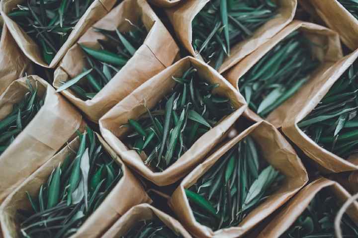 o Melhor dia das Nossas vidas 💛 - 8