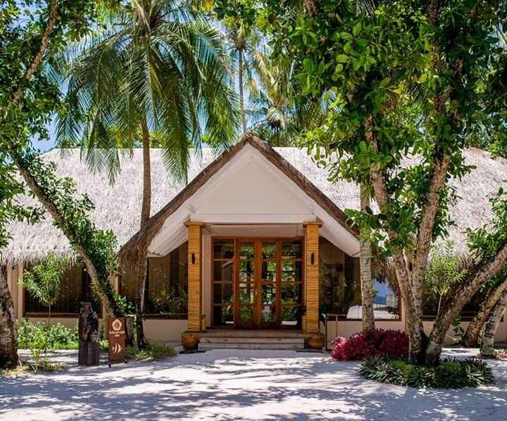 Lua de Mel de Sonho - 6