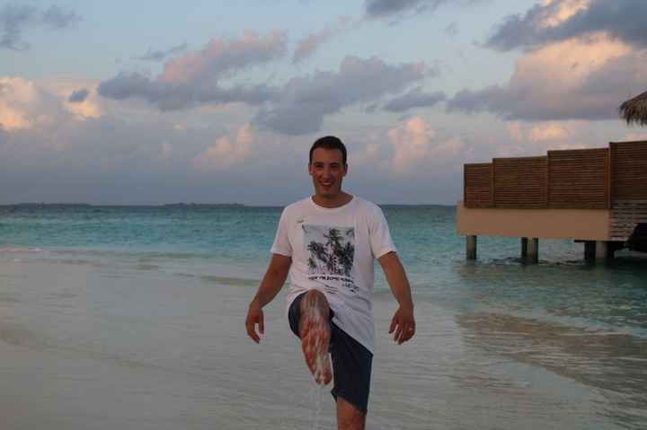 Lua de Mel de Sonho - 8