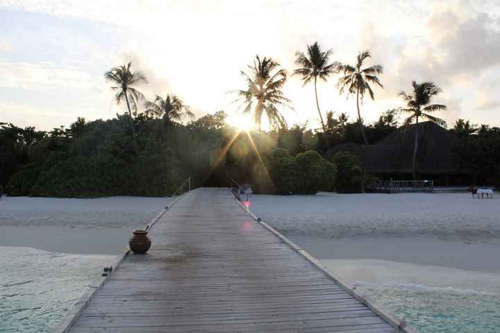 Lua de Mel de Sonho - 9