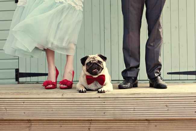 Patudo no Casamento