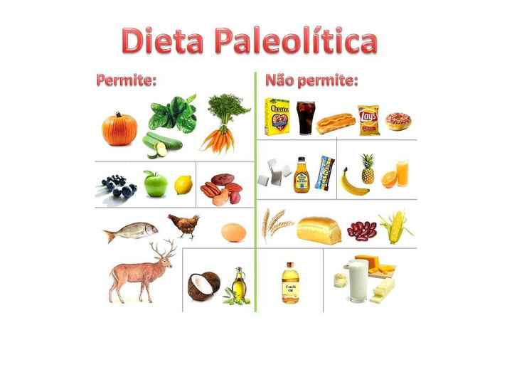 paleo