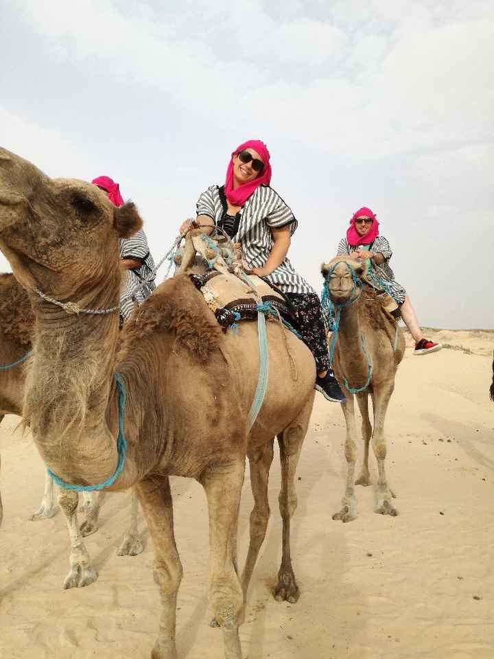 Mágica lua de mel - 7