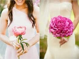 Bouquet e valores médios - 3