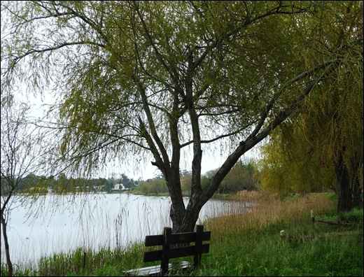 Lagoa de Mira
