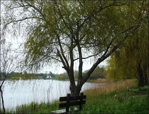 Lagoa de Mira