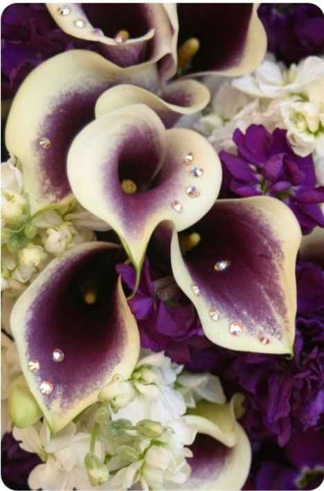 Mês Fevereiro_ inspirações com roxo e dourado - 20