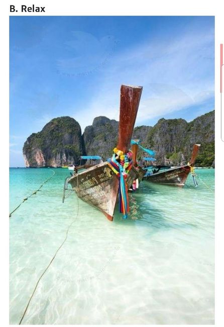 Duelos Nupciais, as minhas escolhas + Tânia 12