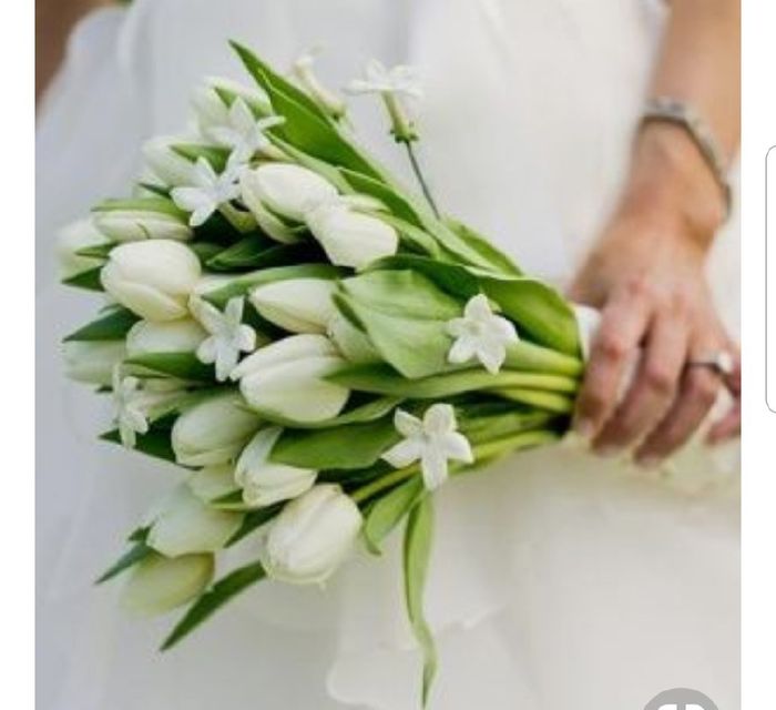 Mês Verde - ramos/ bouquet - 10