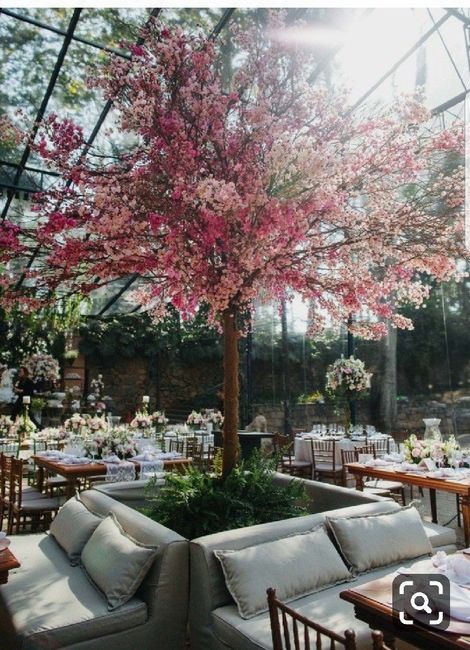 Casamento no campo/ ar livre - 5
