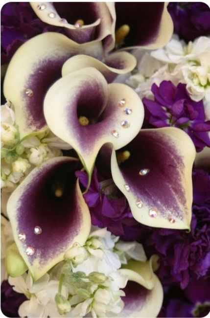Mês Fevereiro_ inspirações com roxo e dourado - 20
