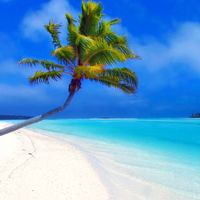 Bora-bora