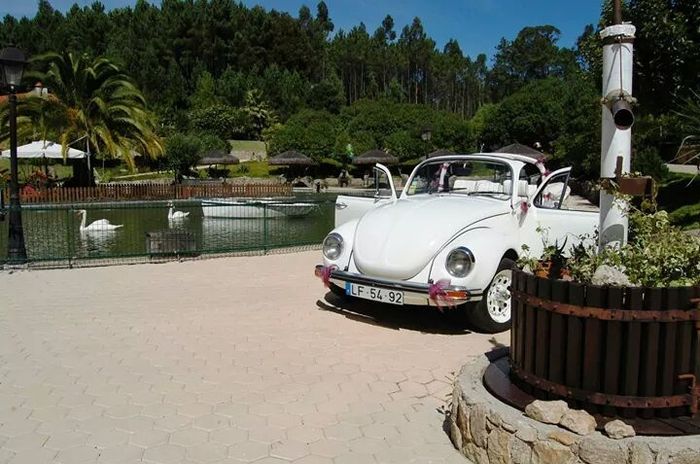 Ideias originais para transporte dos noivos :) - 1