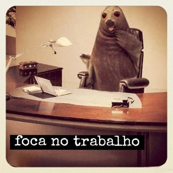 preparação