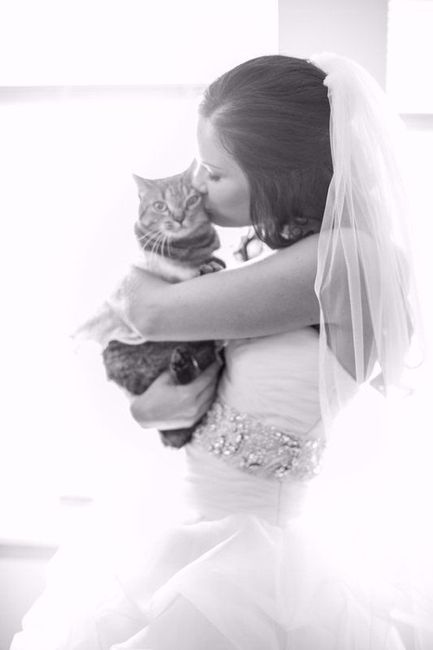 Miau 