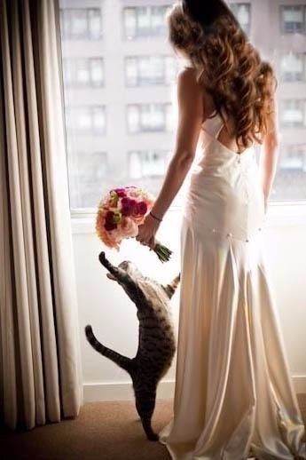 Miau 