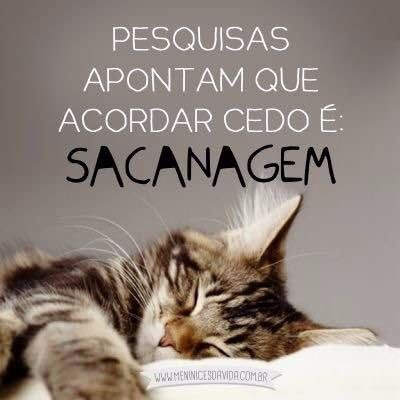 preparação