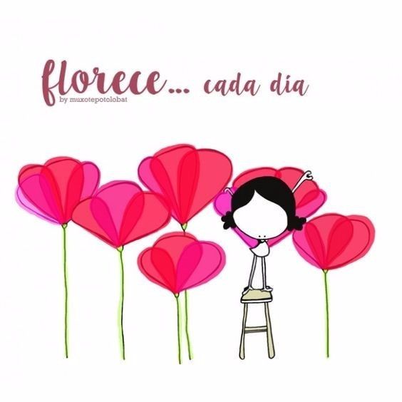 preparação