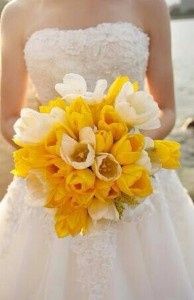 amarelo