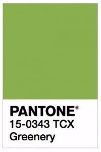 pantone