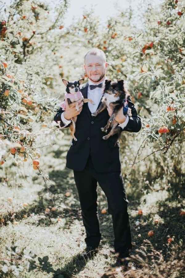 ANIMAIS