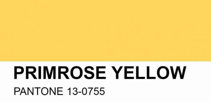pantone