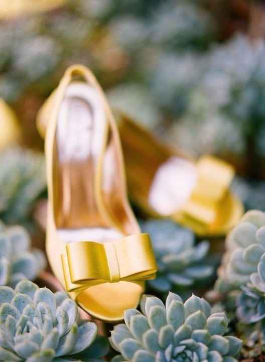 sapatos