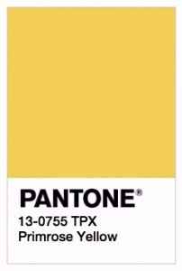 amarelo